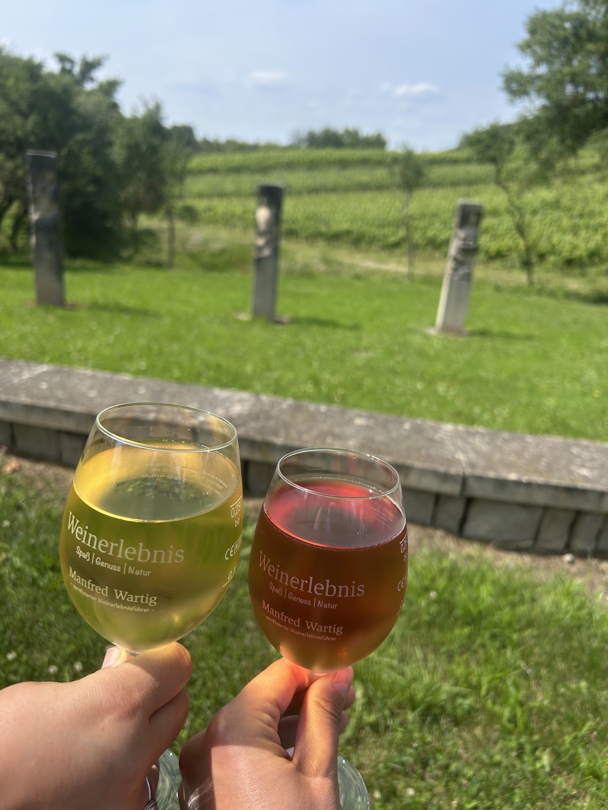 Zwei Gläser Wein beim Anstoßen vor den Weinbergen
